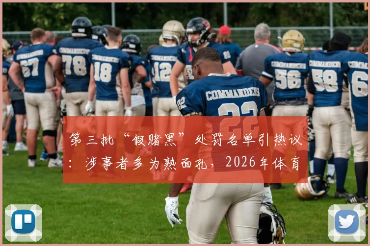 第三批“假赌黑”处罚名单引热议:涉事者多为熟面孔,2026年体育肃清风暴会继续吗?